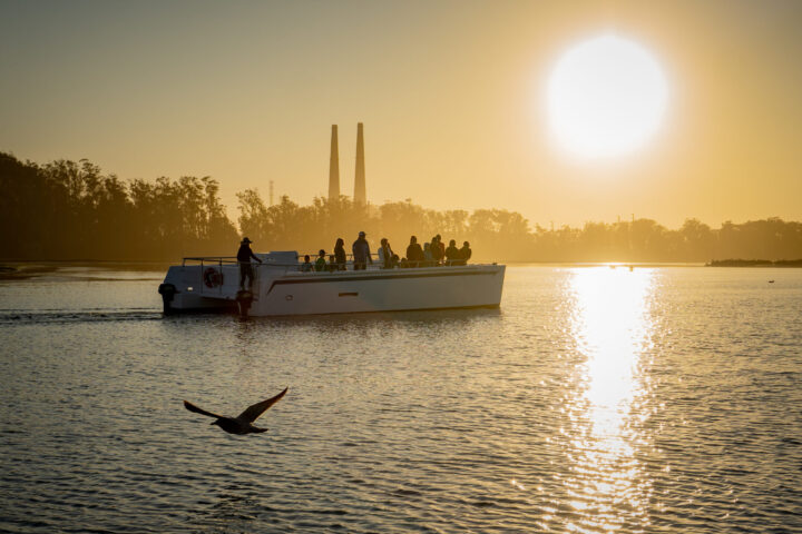 Sunset Boat tour Elkhorn Slough Moss Landing