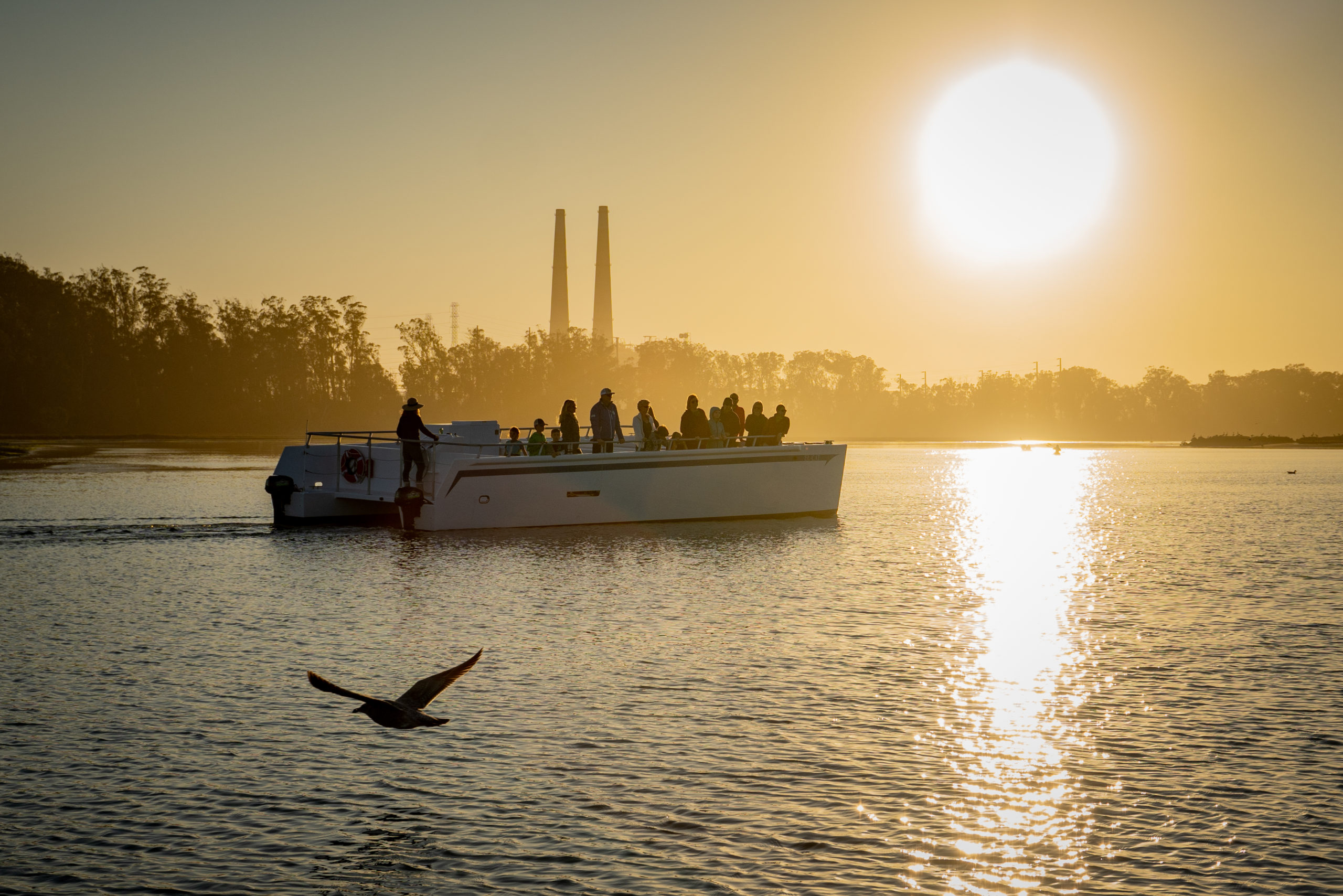 Sunset Boat tour Elkhorn Slough Moss Landing